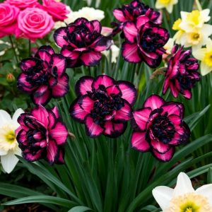 Нарцисс Золотая Корона купить по цене от 2000р. в интернет-магазине «Посадика» с доставкой почтой в в Салехарде и по всей России – [изображение №1].