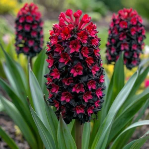 Гиацинт Джем Стоун купить по цене от 2099р. в интернет-магазине «Посадика» с доставкой почтой в в Салехарде и по всей России – [изображение №1].