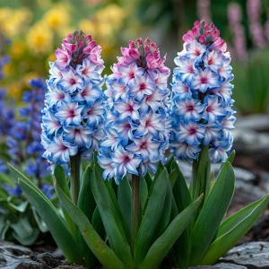 Гиацинт Пинк Мари купить по цене от 2099р. в интернет-магазине «Посадика» с доставкой почтой в в Салехарде и по всей России – [изображение №1].