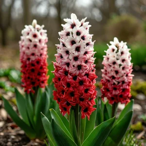 Гиацинт Скай Гарден купить по цене от 2099р. в интернет-магазине «Посадика» с доставкой почтой в в Салехарде и по всей России – [изображение №1].