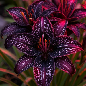 Лилейник Вояж купить по цене от 699р. в интернет-магазине «Посадика» с доставкой почтой в в Салехарде и по всей России – [изображение №1].